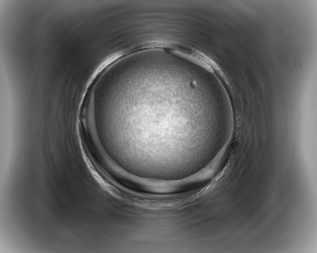 X0000087551042200704271205