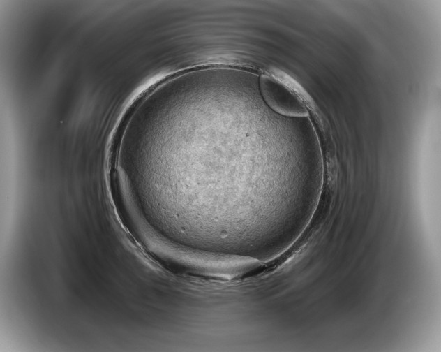 X0000087551043200704271205