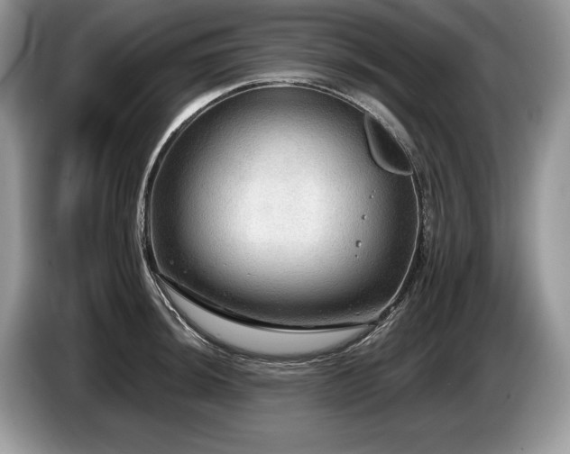 X0000087551044200704271205