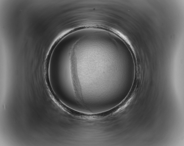 X0000087551045200704271205