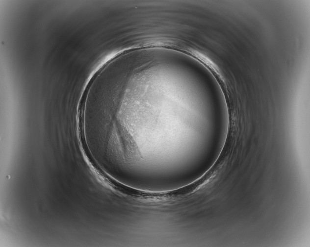 X0000087551047200704271205
