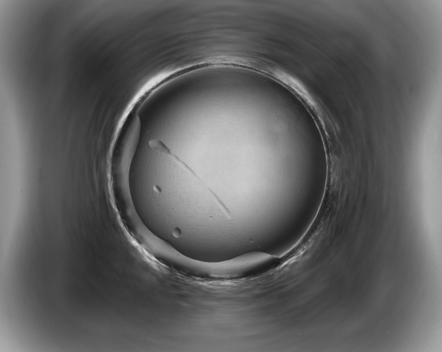 X0000087551048200704271205
