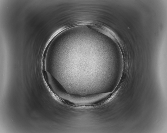 X0000087551050200704271205