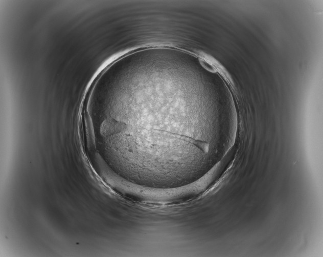 X0000087551052200704271205