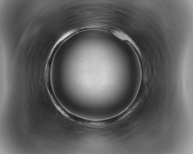 X0000087551053200704271205