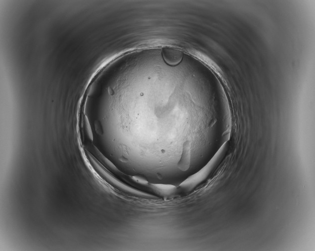 X0000087551055200704271205