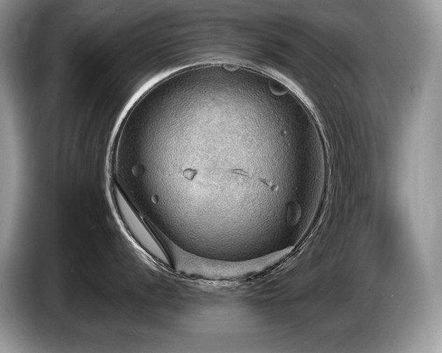 X0000087551056200704271205