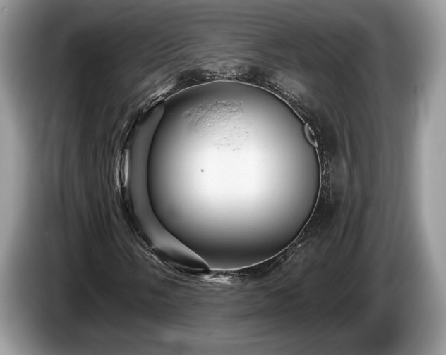 X0000087551058200704271204