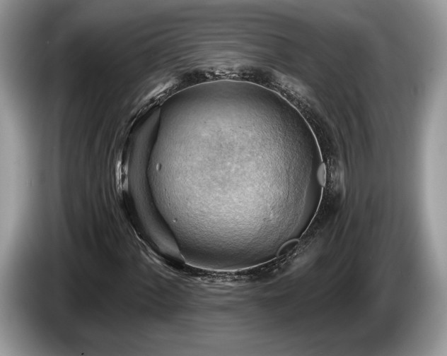 X0000087551060200704271204
