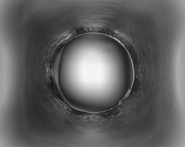 X0000087551061200704271204