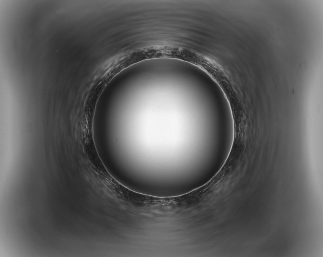 X0000087551062200704271204
