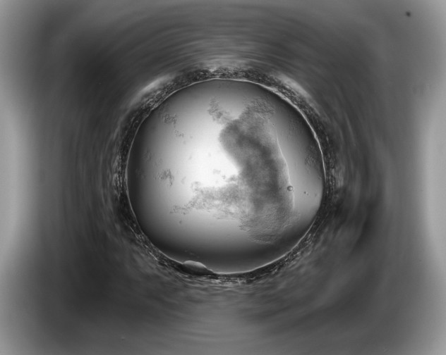 X0000087551063200704271204