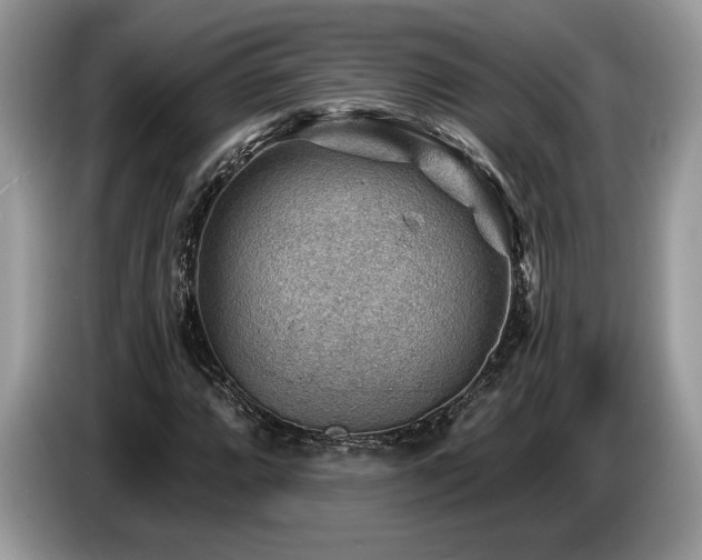X0000087551064200704271204