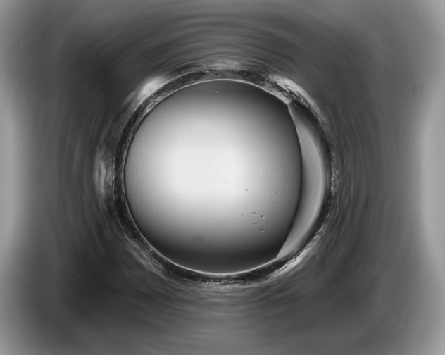 X0000087551065200704271204