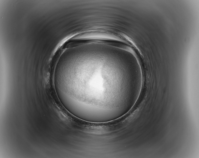 X0000087551066200704271204