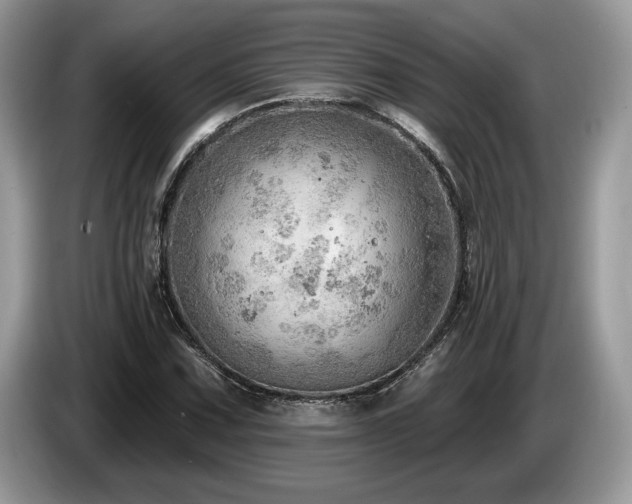 X0000087551067200704271204