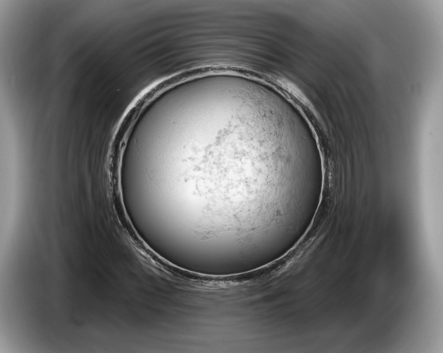 X0000087551068200704271204