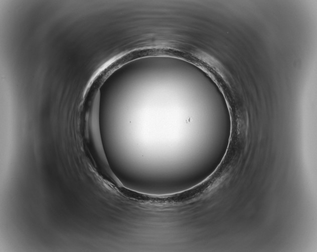 X0000087551069200704271204
