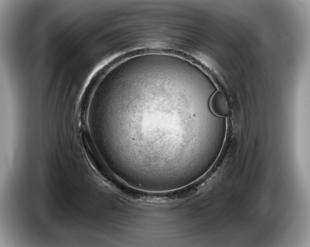 X0000087551070200704271204
