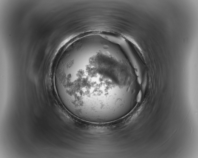 X0000087551071200704271204