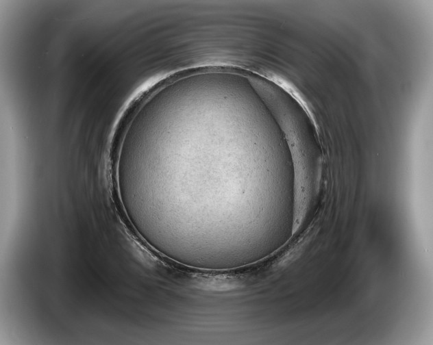 X0000087551072200704271204