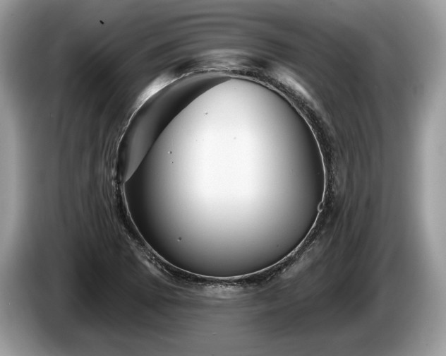 X0000087551073200704271204