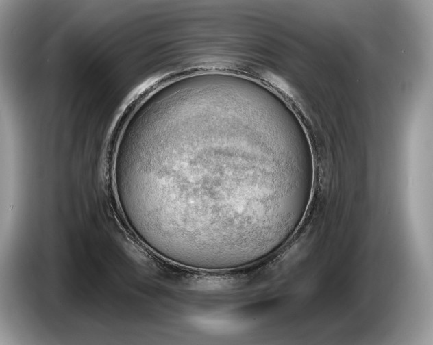 X0000087551074200704271204