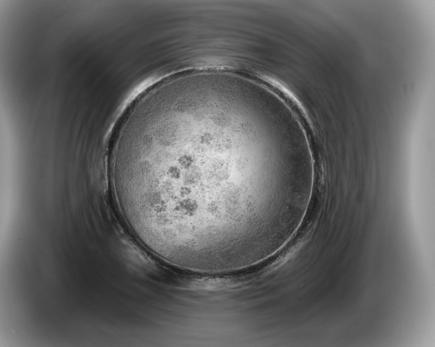 X0000087551075200704271204