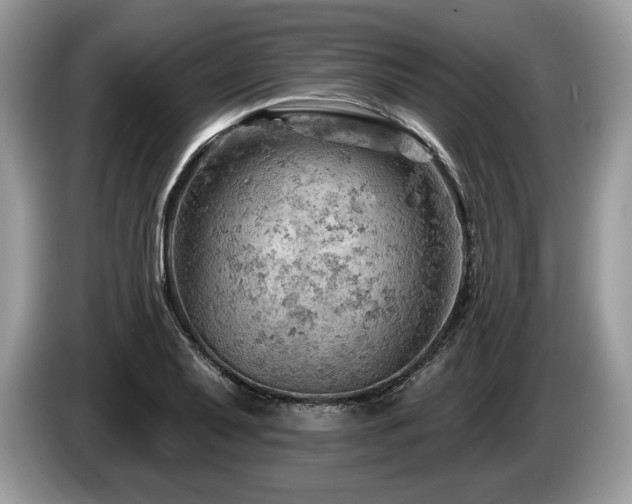 X0000087551079200704271204