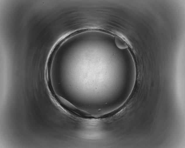 X0000087551080200704271204
