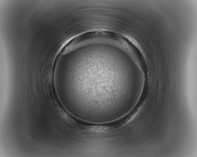 X0000087551081200704271204