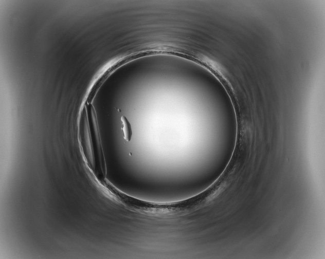 X0000087551082200704271204