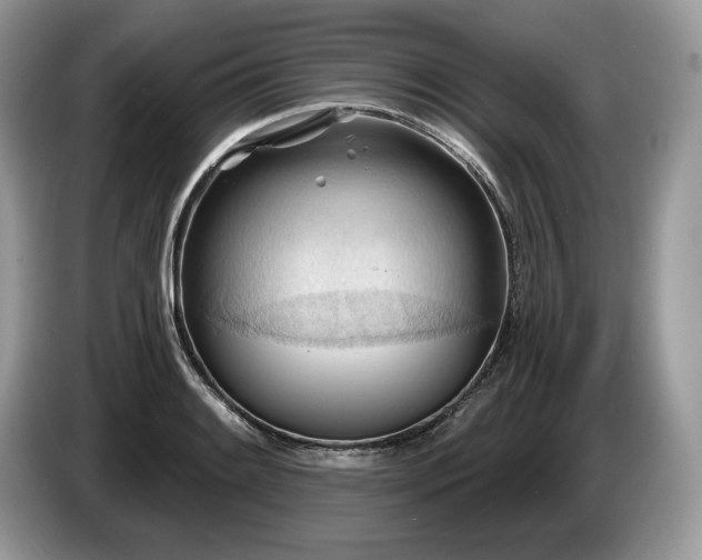 X0000087551084200704271204