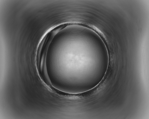 X0000087551085200704271204