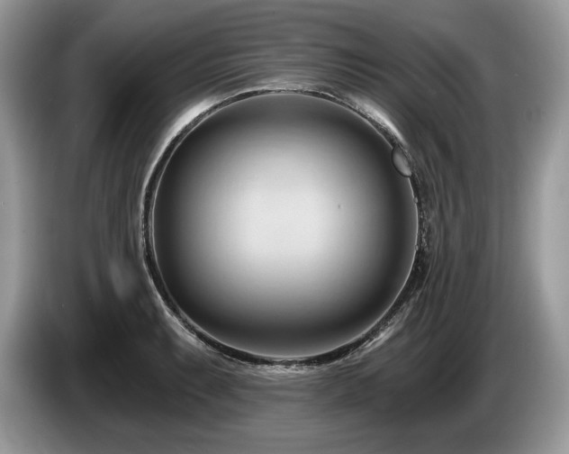 X0000087551087200704271204