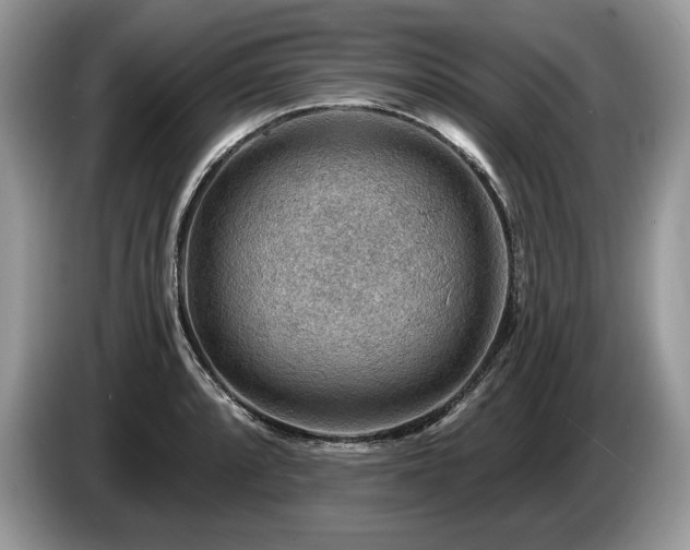 X0000087551088200704271204