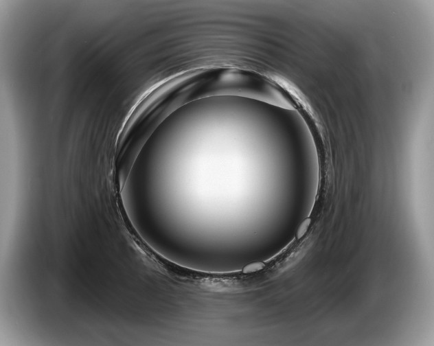X0000087551089200704271204