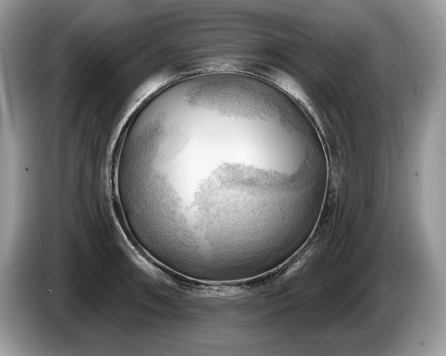 X0000087551090200704271204