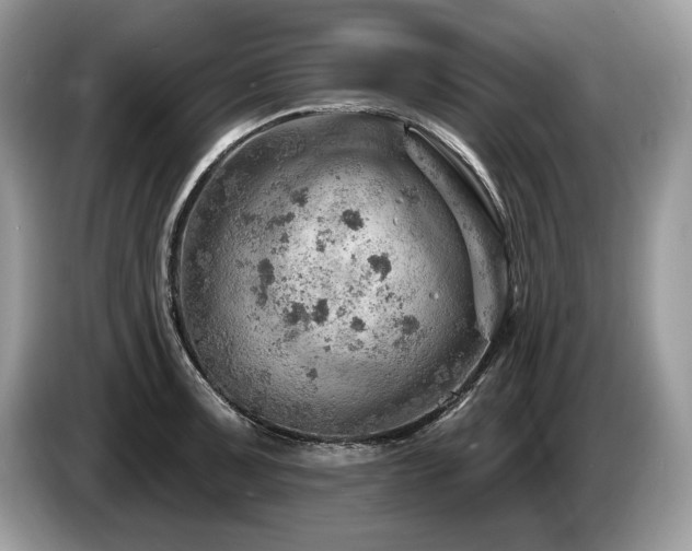 X0000087551091200704271204
