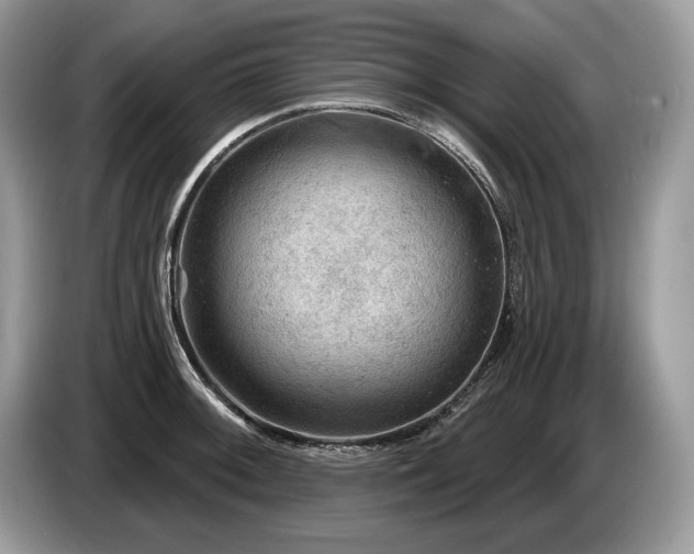 X0000087551092200704271204