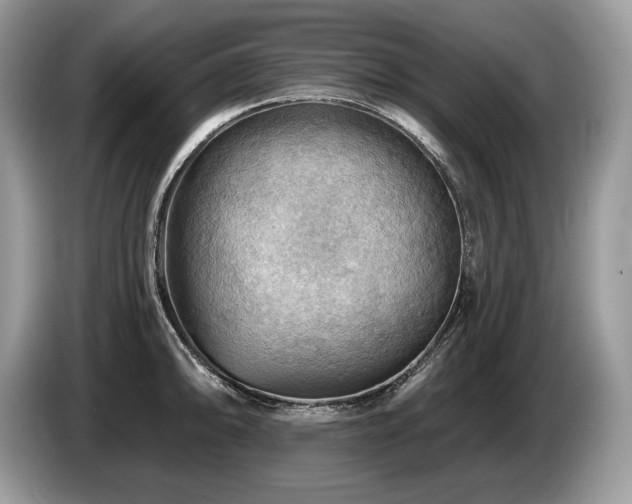 X0000087551094200704271204