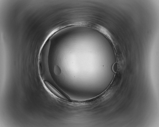 X0000087551095200704271204
