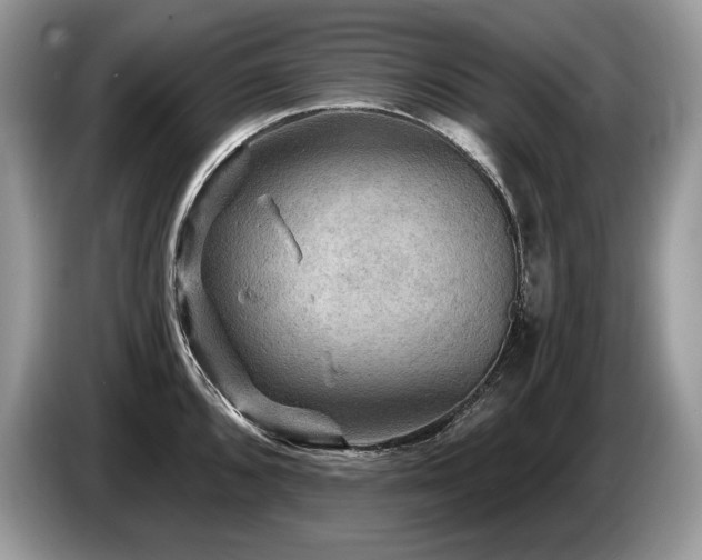 X0000087551096200704271204