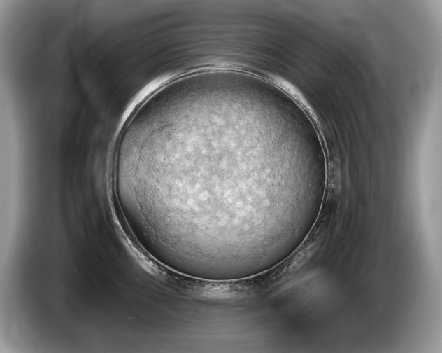 X0000087551098200704271204