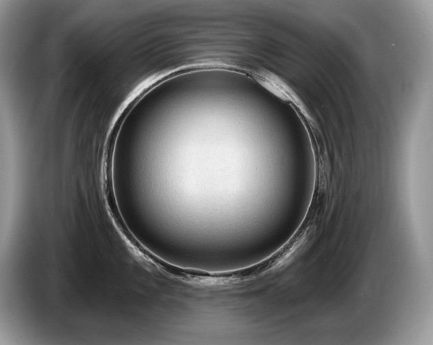 X0000087551101200704271204