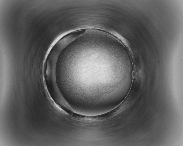 X0000087551102200704271204