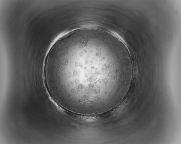 X0000087551103200704271204