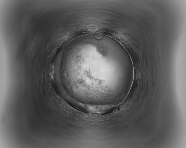 X0000087551106200704271203