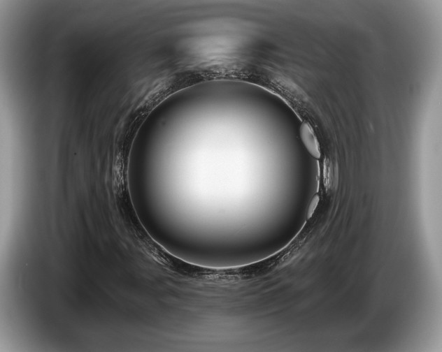 X0000087551107200704271203