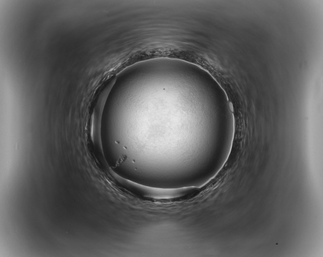 X0000087551109200704271203